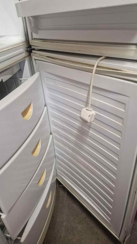 Photo of free Tall (6ft) fridge freezer (Wymondham NR18) #3
