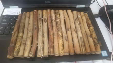 Photo of free 2 Animal log rolls (Southey Green S5) #1