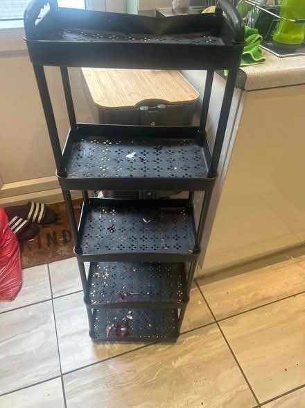 Photo of free Plastic storage (Catford SE6) #1