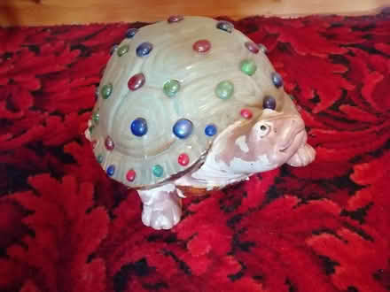 Photo of free China. Tortoise (MK14 Great Linford) #1