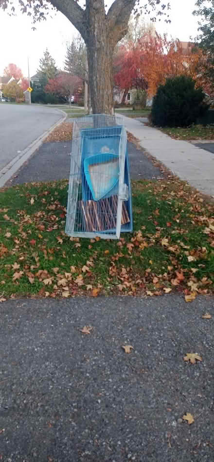 Photo of free Small critter cage (Kanata Lakes) #1