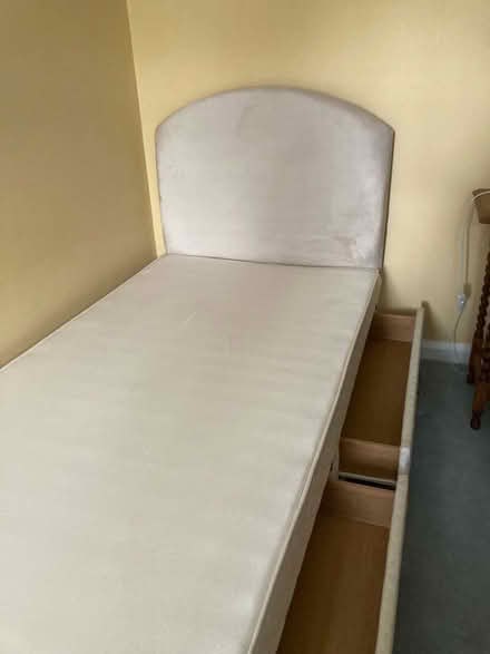 Photo of free Single bed base, with velvet headboard (Bearton SG5) #1