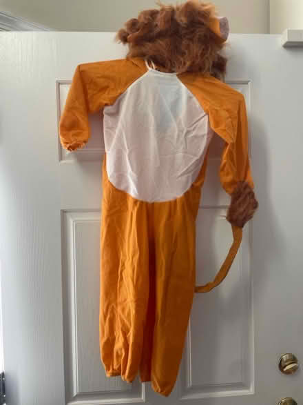 Photo of free Halloween Costume (Cascades) #2