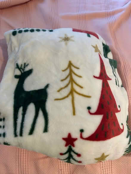 Photo of free Throw Blankets (Near Main Street Laurel Md) #2