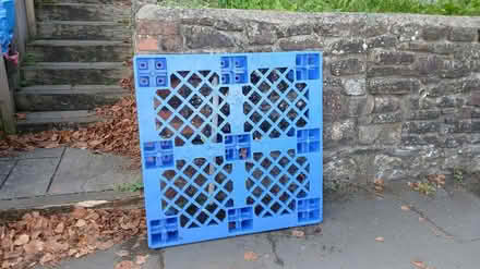 Photo of free Plastic pallet (Redland, BS6) #1