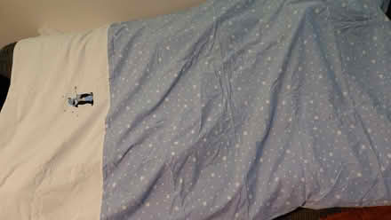 Photo of free Single duvet covers (Mayford GU22) #2