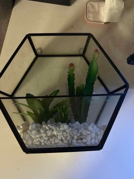 Photo of free Home decor (Ipswich IP1) #1