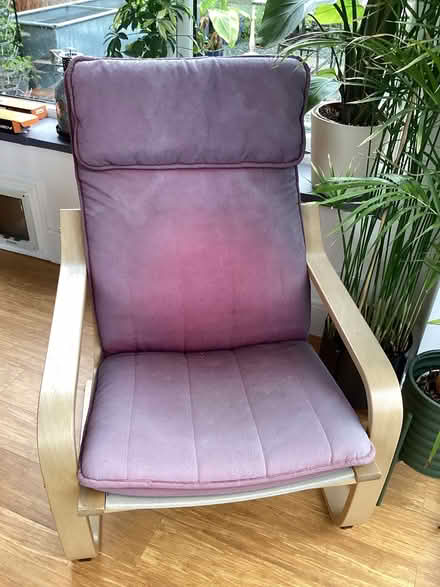 Photo of free Ikea Poang chair (Market Drayton. TF9) #1