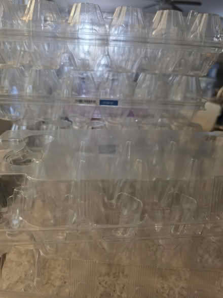 Photo of free Egg cartons (Knightdale) #1