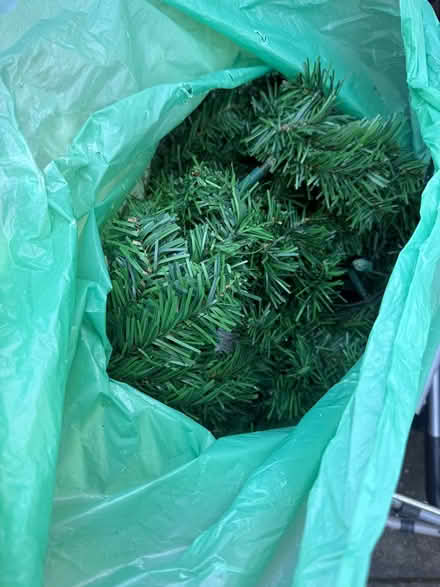 Photo of free Christmas tree (Nw110lr) #1