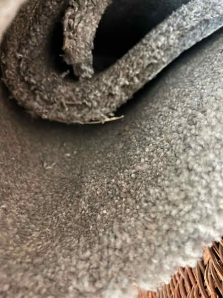 Photo of free Grey carpet (Bearsted, ME15) #1