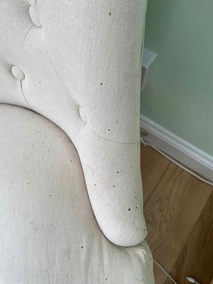 Photo of free Accent chair (Codicote SG4) #3