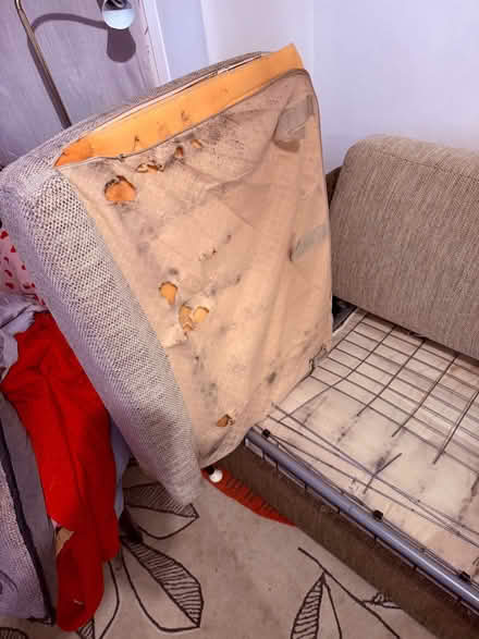 Photo of free Beige sofa bed (Elmstead BR7) #4