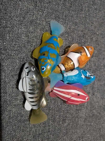 Photo of free Robofish (GL1 Podsmead GL1) #1