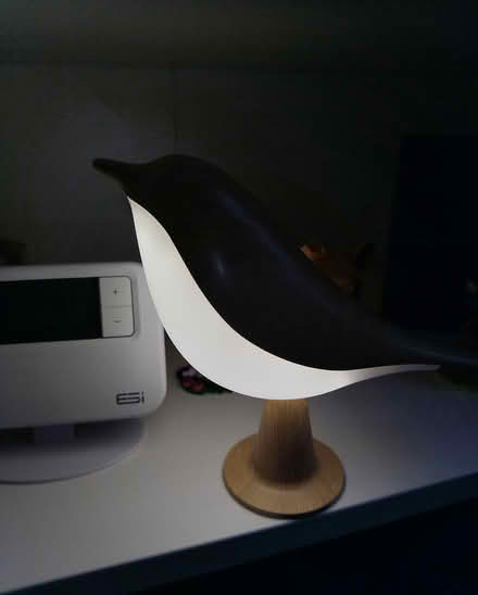 Photo of free Small bird light (Walsall WS2) #2