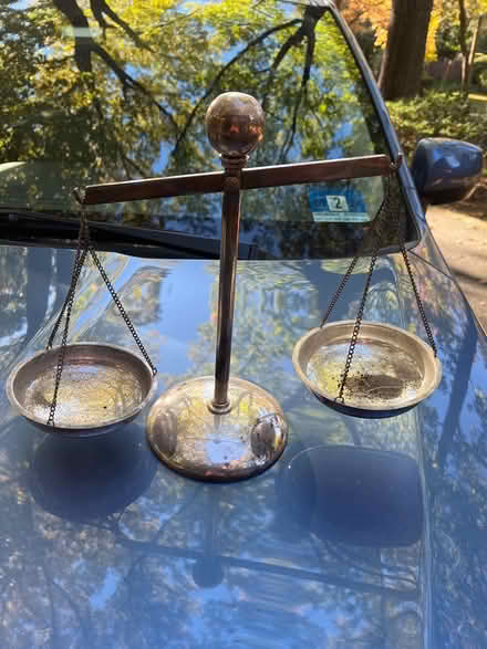 Photo of free Decorative scale (Oradell) #1