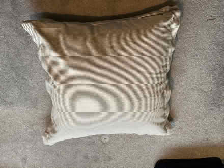 Photo of free Large floor cushion (Taverham NR8) #2