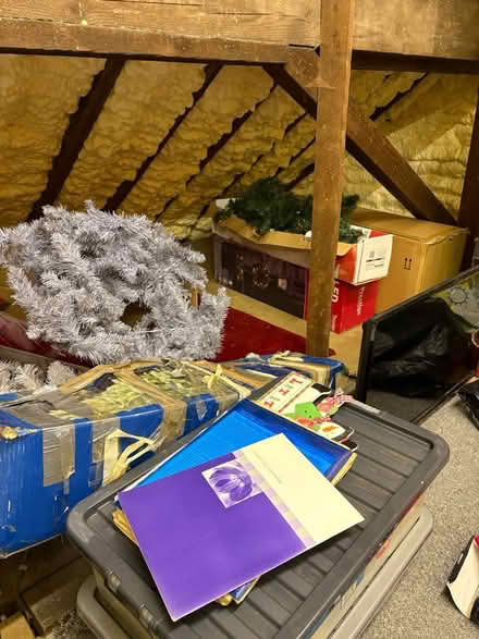Photo of free Xmas trees (Knotty ash Liverpool) #1