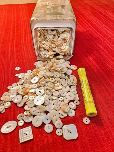 Photo of free 2-hole shell buttons #1 (69th Street, Upper Darby) #1