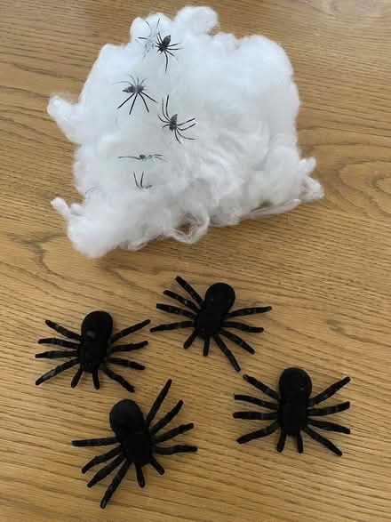 Photo of free Halloween decoration - spiders and web (Hellesdon NR6) #1