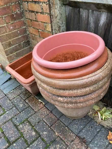 Photo of free Large plant/shrub pots (Bearton SG5) #1