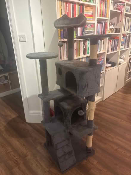 Photo of free Cat tower (TN2) #1