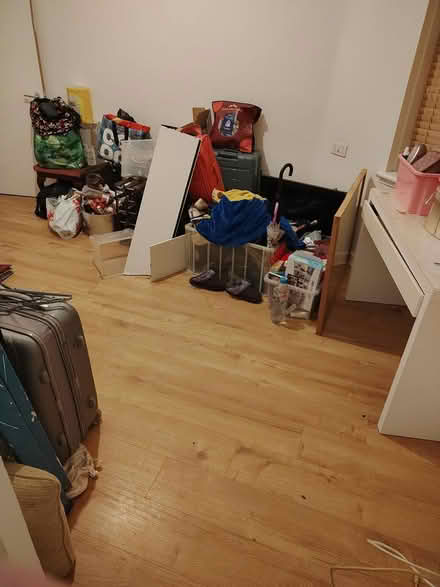 Photo of free Oak laminate flooring (G313PW) #3