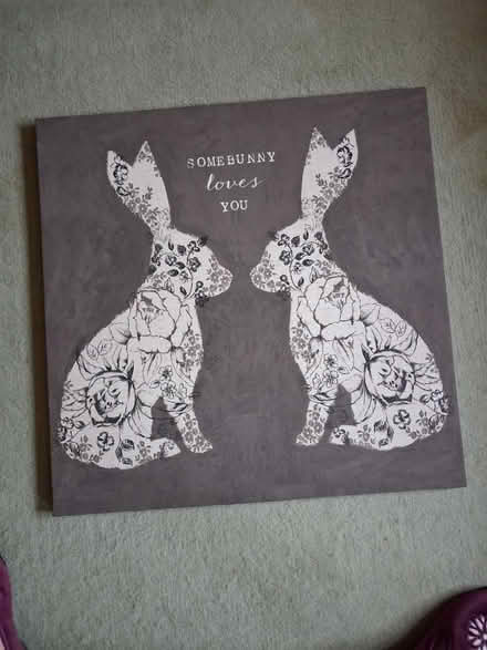 Photo of free Rabbit Canvas (Colchester CO4) #1