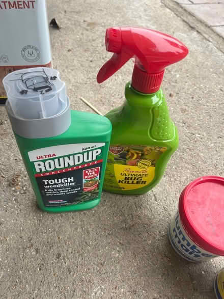Photo of free Round up (Ipswich, IP1) #1