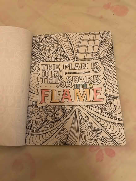 Photo of free Hamilton colouring book (Jennetts park RG12) #4