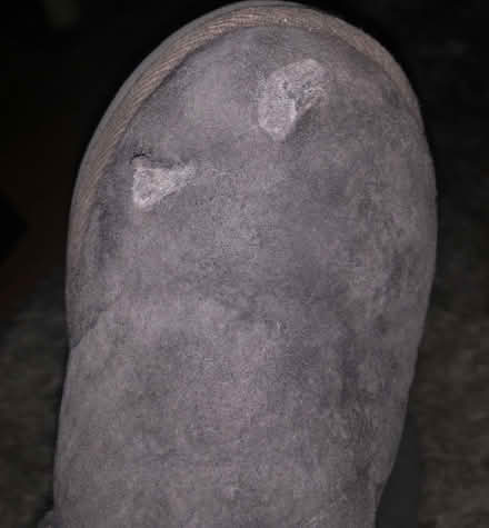 Photo of free Short boots (damaged) (Forest Hill SE23) #4