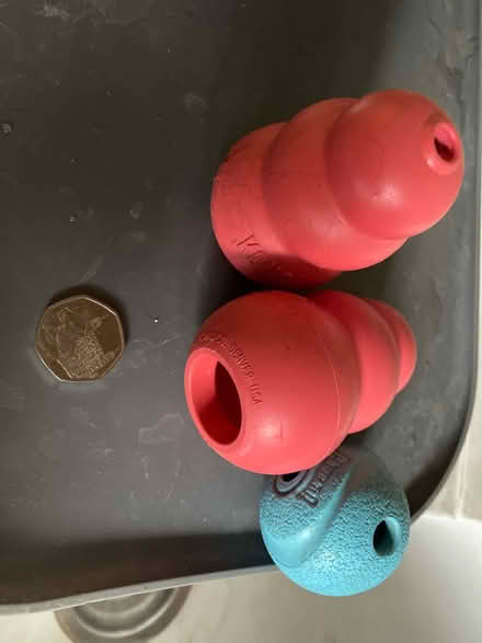Photo of free Dog toys (Pagham PO21 4) #1