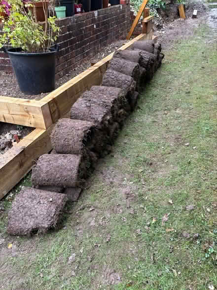 Photo of free Turf rolls (RG31 6RL) #2
