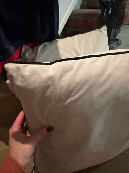 Photo of free Large Beige Cushions (Topsham EX3) #2