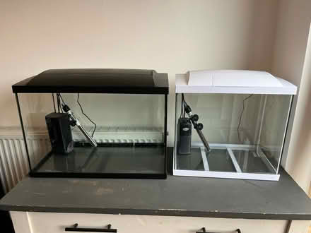 Photo of free 2x fish tanks (Temple Sowerby CA10) #1