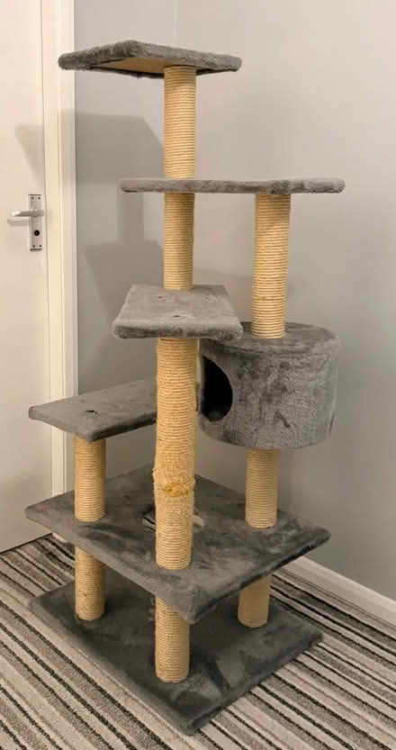 Photo of free tall cat tree - good used condition (Spondon DE21) #1