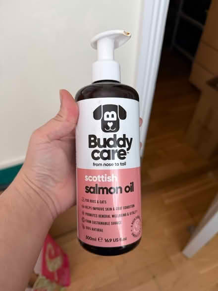 Photo of free Salmon Oil for cats & dogs (Brixton SW9) #1