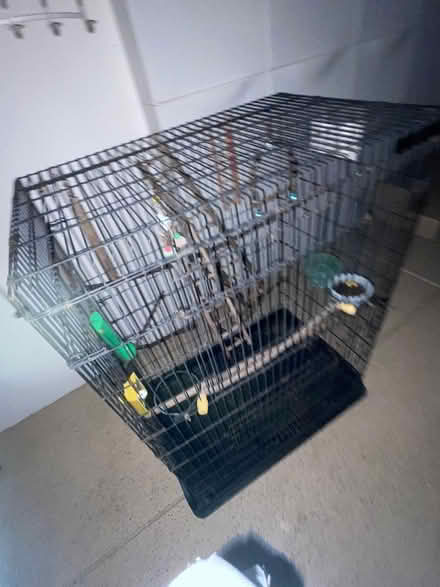 Photo of free Large bird cage (Alamo) #3