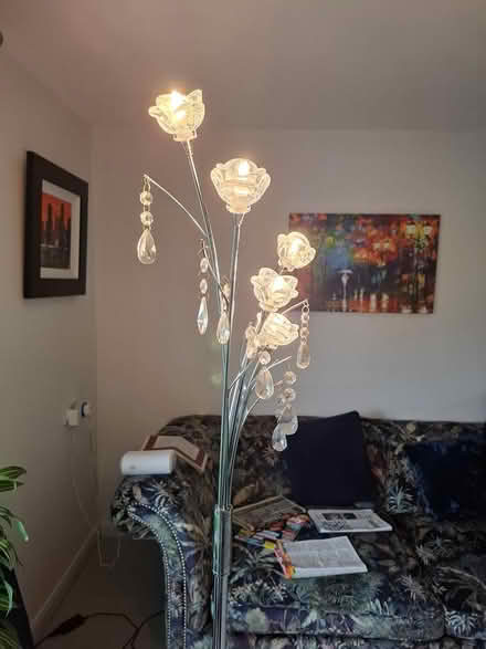 Photo of free Chrome standard lamp (Monkseaton NE25) #2