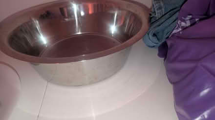 Photo of free Dog bowls (Hailsham BN27) #2