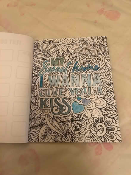 Photo of free Hamilton colouring book (Jennetts park RG12) #3