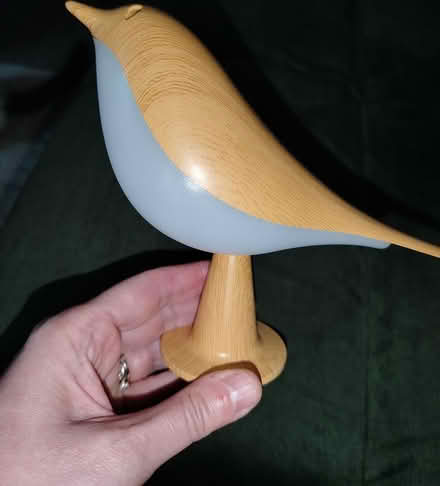 Photo of free Small bird light (Walsall WS2) #1