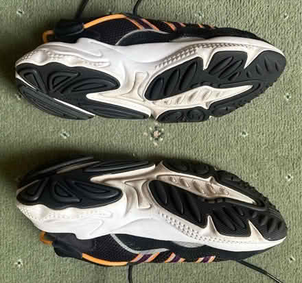 Photo of free Adidas trainers (Dyke Road area BN1) #3
