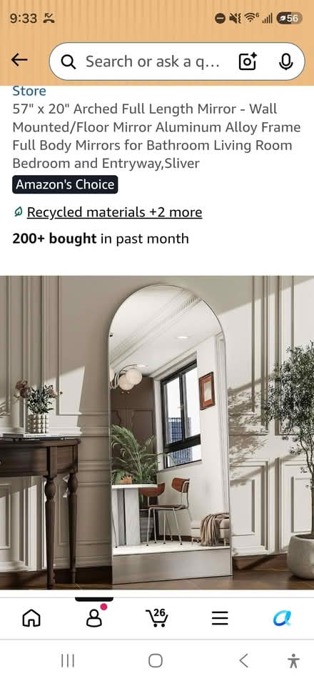 Photo of free Mirror (Petworth) #1