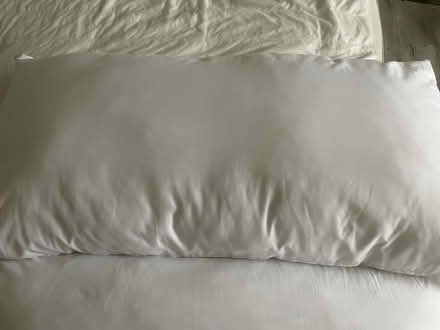 Photo of free Two 91x48 cm John Lewis pillows (Glanton) #1