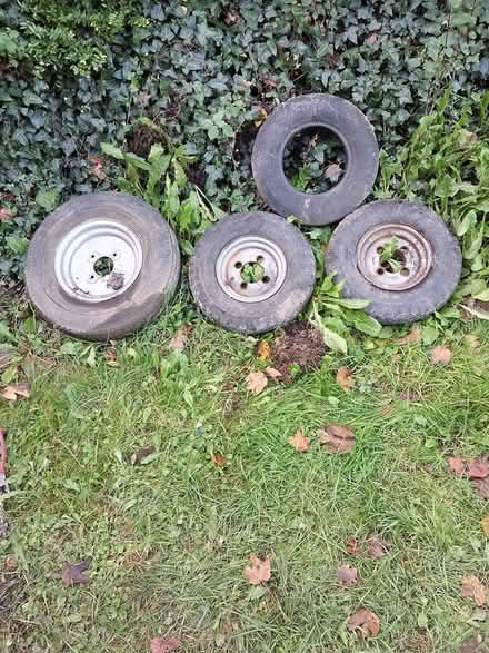 Photo of free garden items and trailer tires (main st. lusk) #1