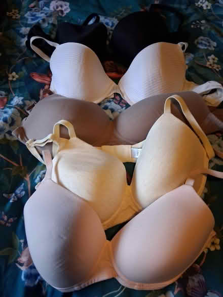 Photo of free Bras 36D (Coxheath ME17) #1