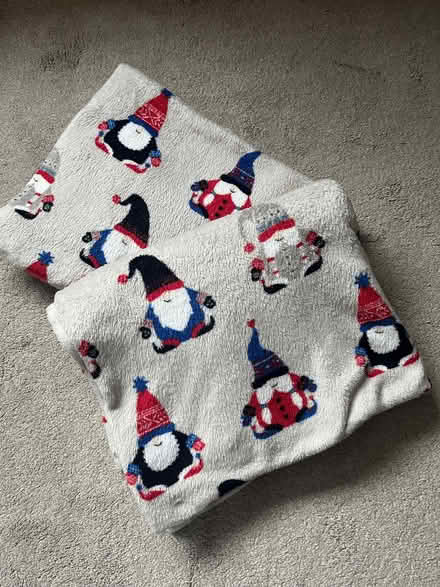 Photo of free Two kids fleecey Christmas blankets (Bowerham LA1) #1