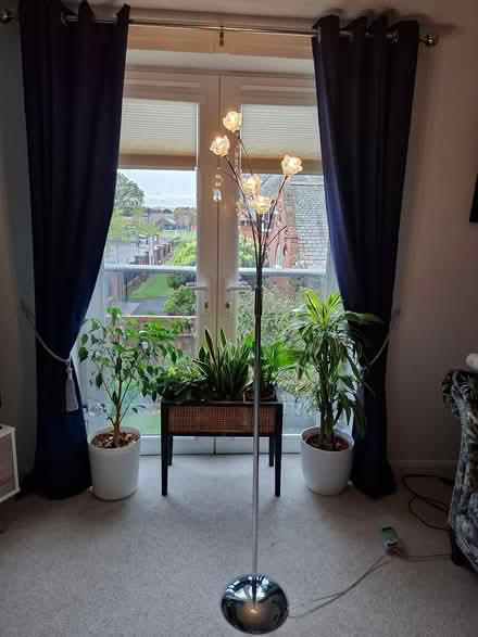 Photo of free Chrome standard lamp (Monkseaton NE25) #4