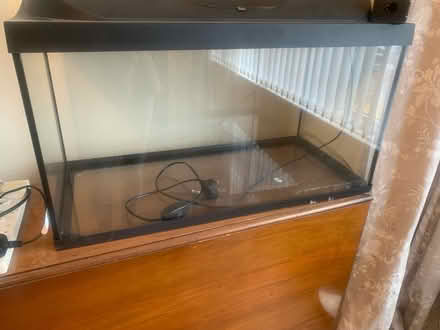 Photo of free Vivarium / fish tank (Kirkby L32) #1